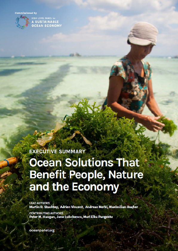 EXECUTIVE SUMMARY Ocean Solutions That Benefit People, Nature and the Economy