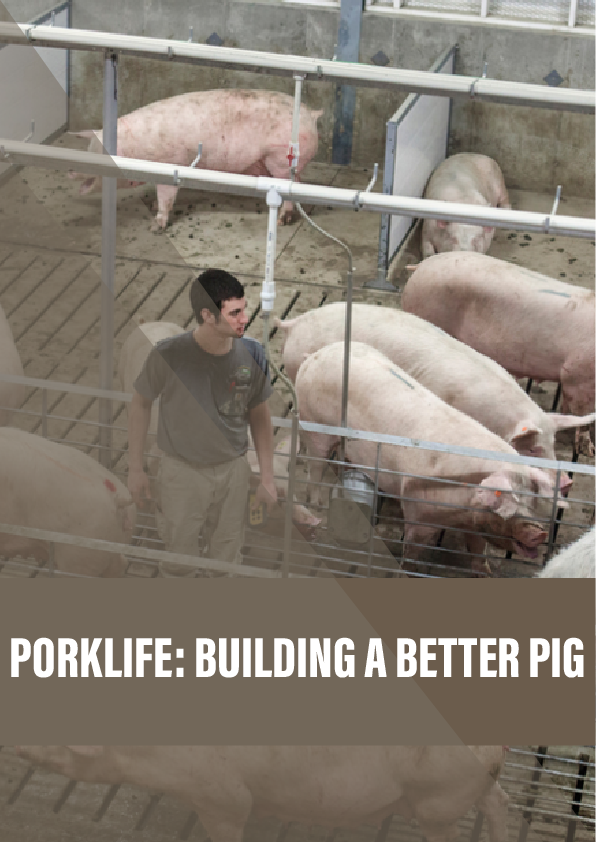 Porklife: building a better pig