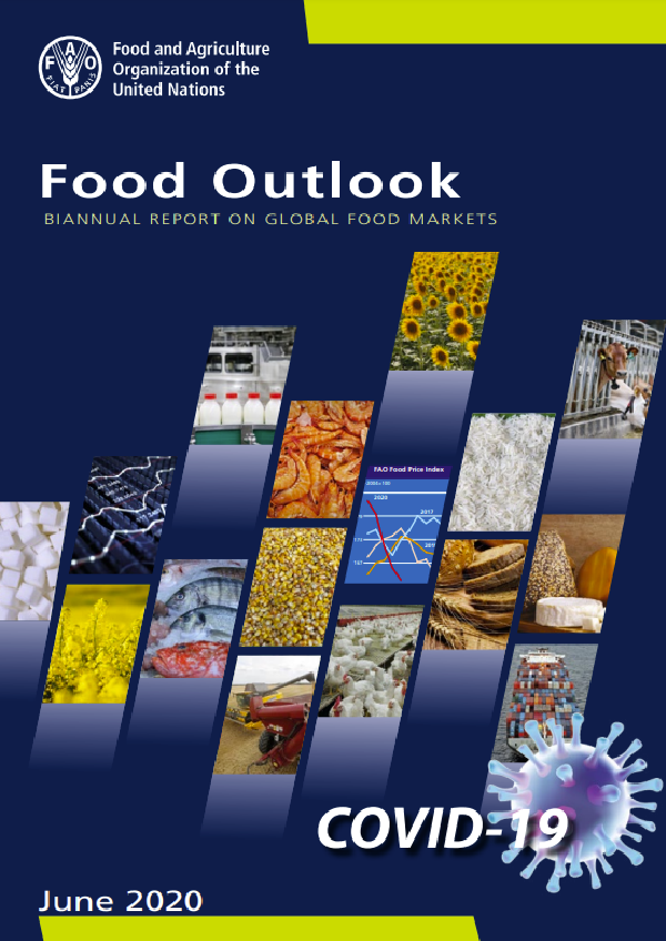Food Outlook – Biannual Report on Global Food Markets