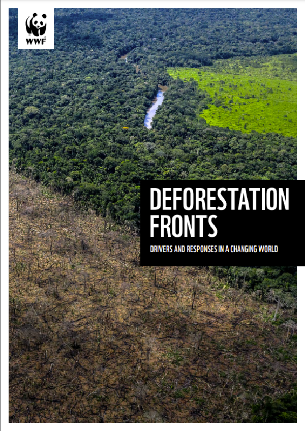 Deforestation Fronts: Drivers and Responses in a Changing World – Full Report