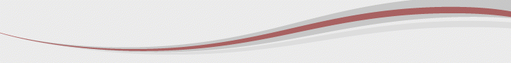 L animated banner 3