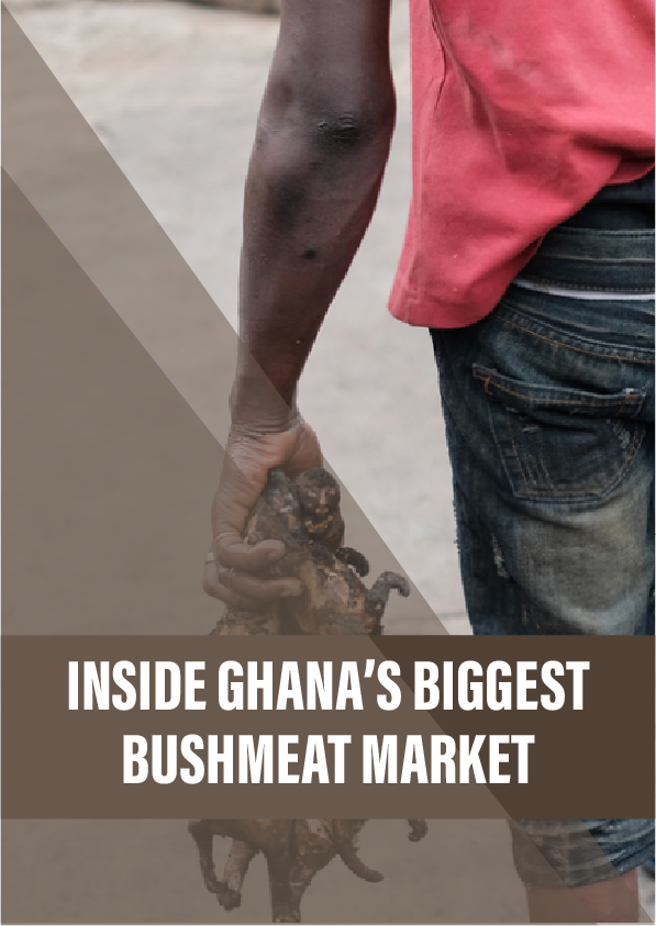 Inside Ghana’s biggest bushmeat market