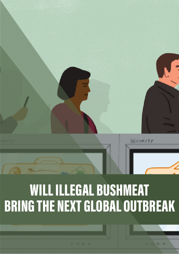 Will illegal bushmeat bring the next global outbreak?