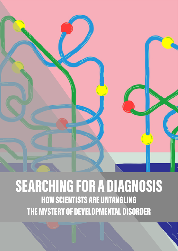 Searching for a diagnosis: how scientists are untangling the mystery of developmental disorders