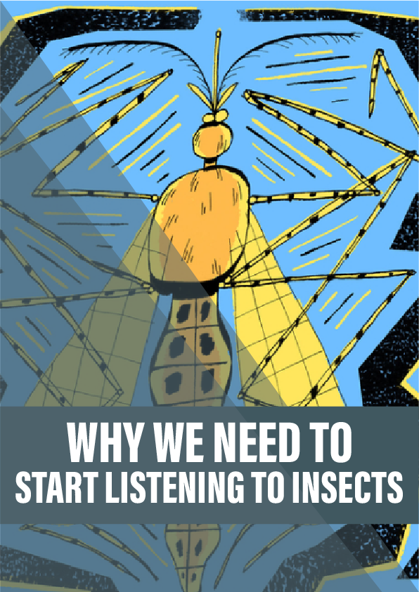 Why we need to start listening to insects