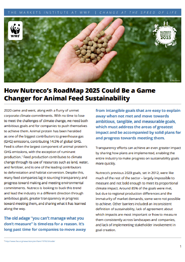 How Nutreco’s RoadMap 2025 Could Be a Game Changer for Animal Feed Sustainability