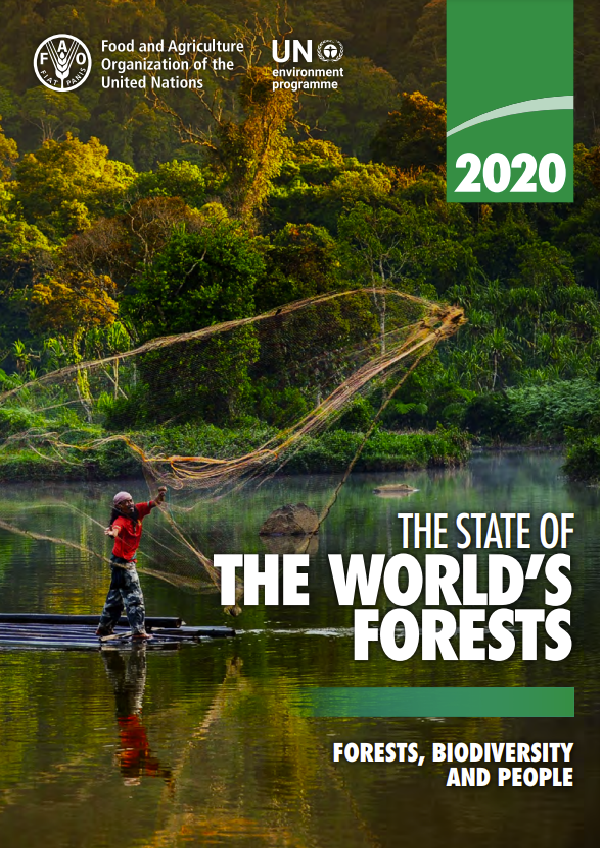 The State of the World’s Forests 2020