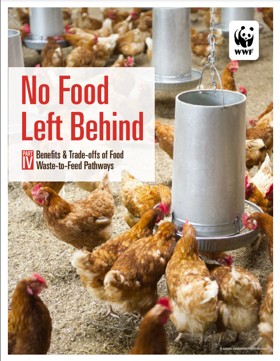 Benefits & Trade-offs of Food Waste-to-Feed Pathways