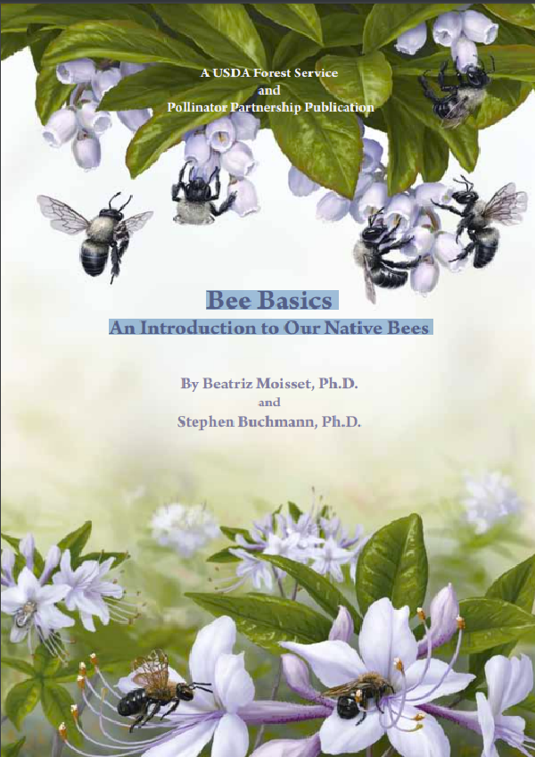 Bee Basics An Introduction to Our Native Bees
