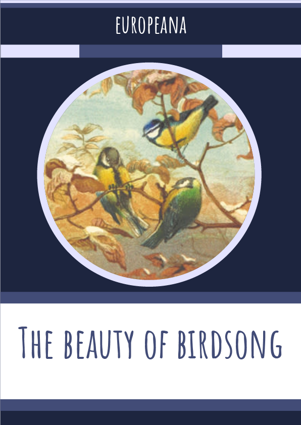 The beauty of birdsong