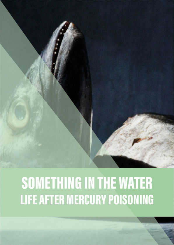 Something in the water: life after mercury poisoning