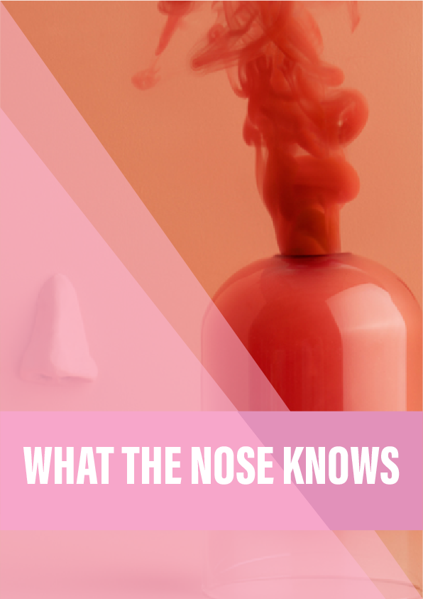 What the nose knows