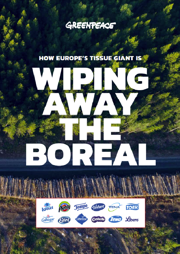 How Europe’s Tissue Giant Is Wiping Away the Boreal