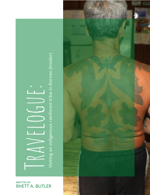 Travelogue: Visiting an indigenous rainforest tribe in Borneo (Insider)