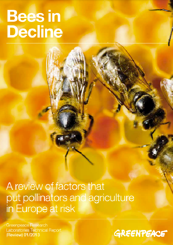 Bees in Decline