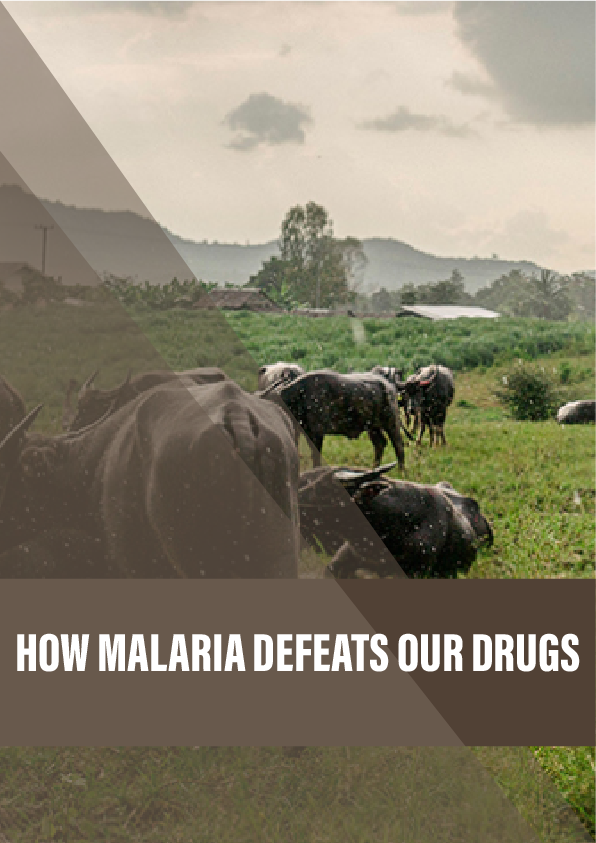 How malaria defeats our drugs