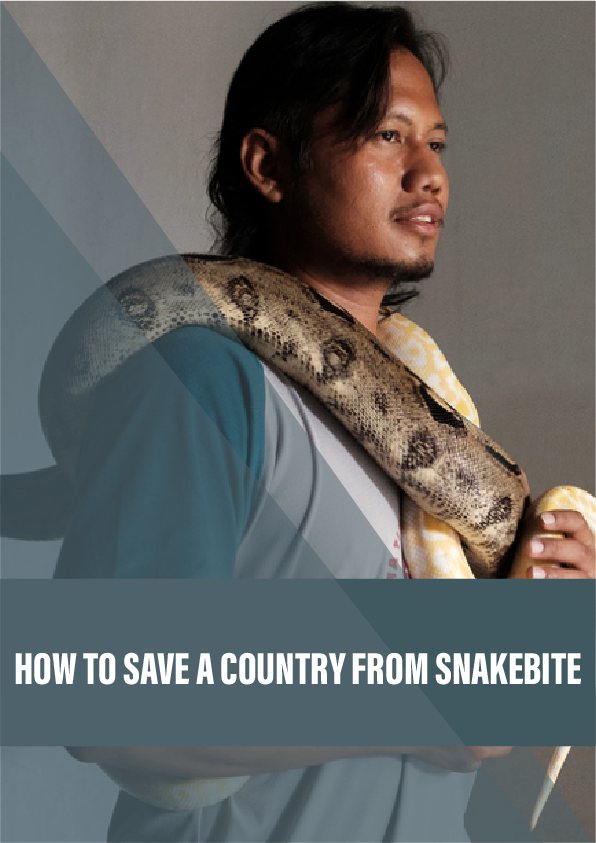 How to save a country from snakebite