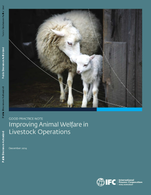 Improving Animal Welfare in Livestock Operations