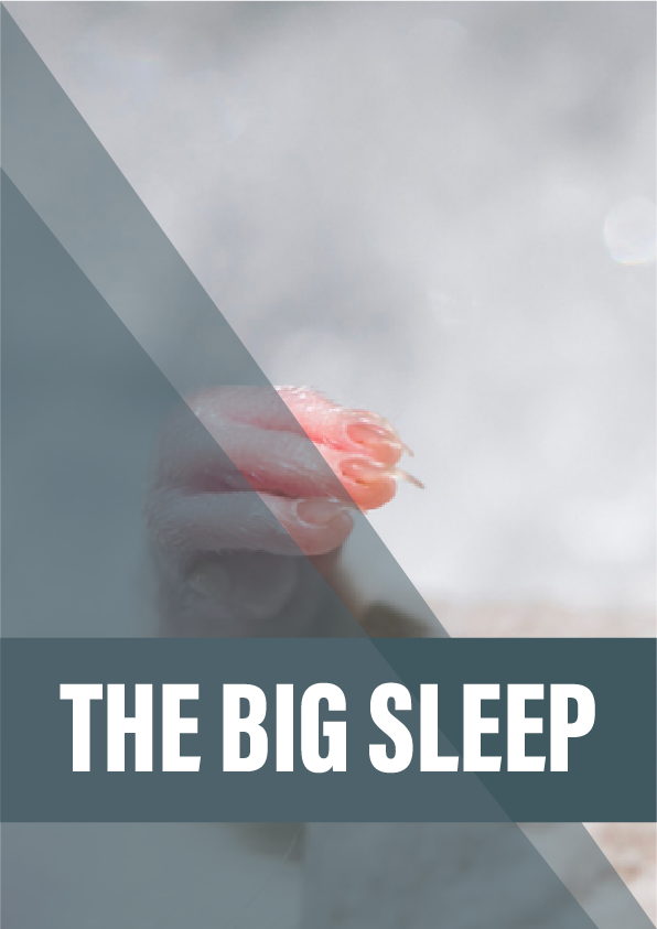 The big sleep