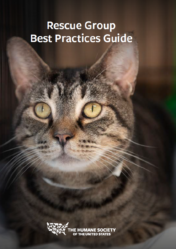 Rescue Group Best Practices Guide