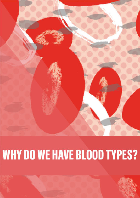 Why do we have blood types?