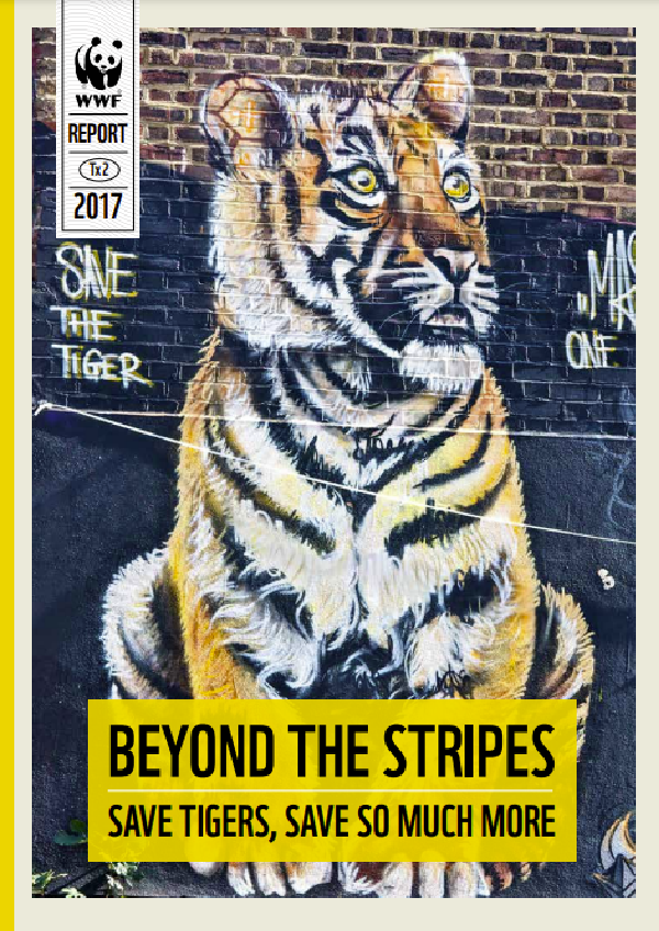 Beyond the Stripes: Save tigers, save so much more