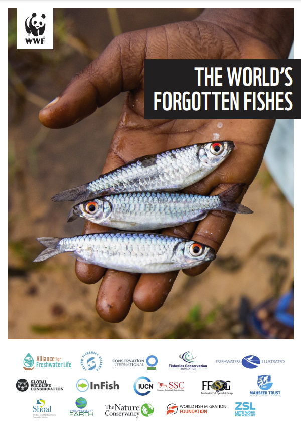 The World’s Forgotten Fishes