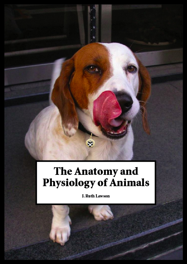 Anatomy and Physiology of Animals