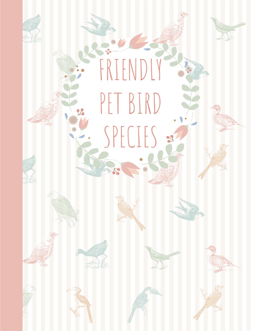 Friendly Pet Bird Species