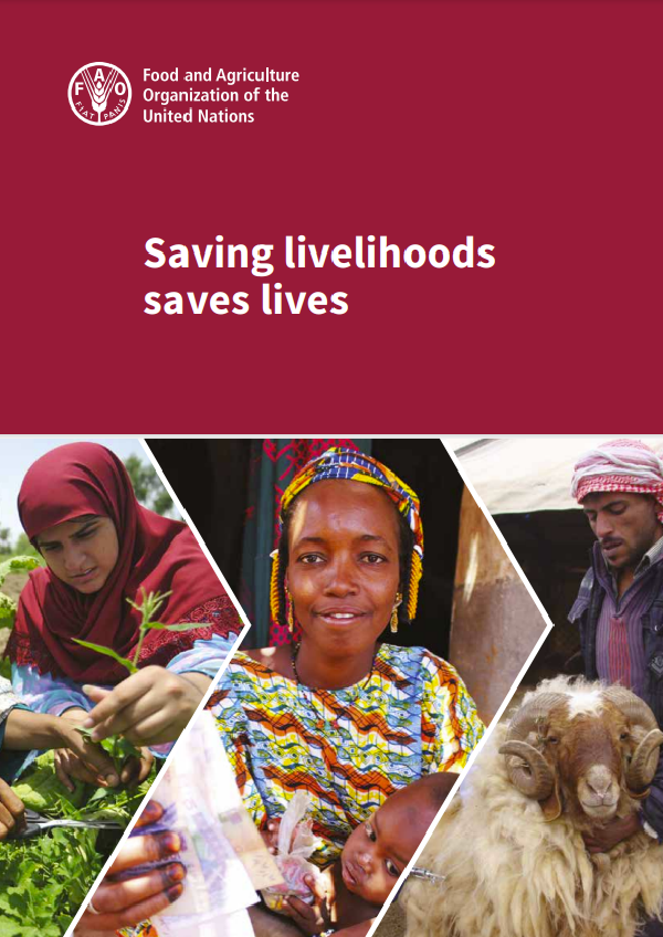 Saving livelihoods saves lives