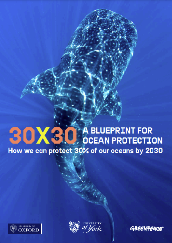 30×30: A Blueprint for Ocean Protection
