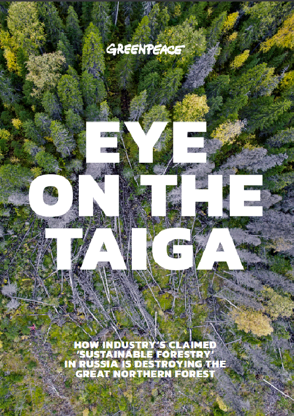 Eye on the Taiga