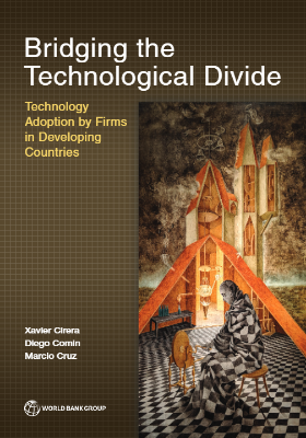 Bridging the Technological Divide : Technology Adoption by Firms in Developing Countries