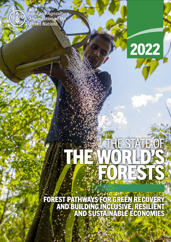 The State of the World’s Forests 2022