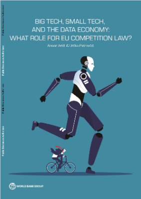 Big Tech, Small Tech, and the Data Economy : What Role for EU Competition Law?
