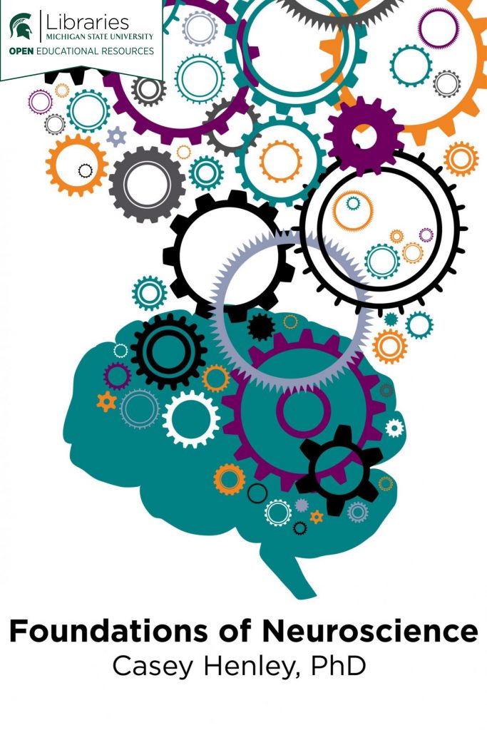 Foundations of Neuroscience