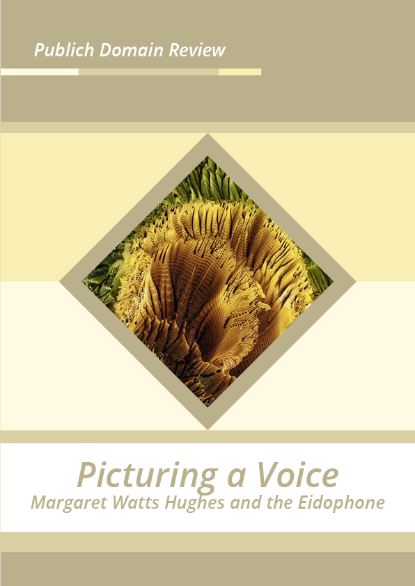 Picturing a Voice: Margaret Watts Hughes and the Eidophone