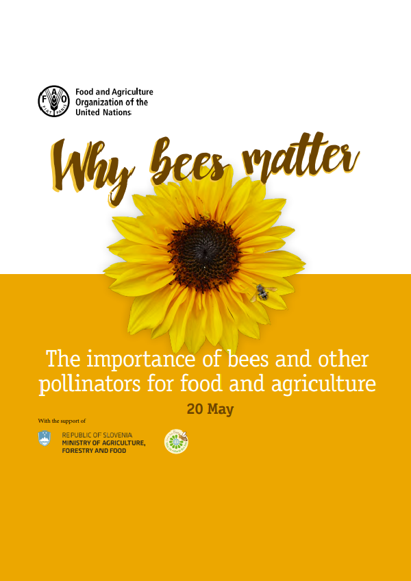 Why bees matter: The importance of bees and other pollinators for food and agriculture