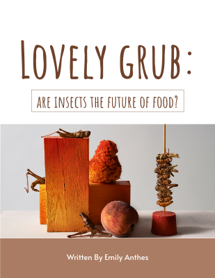 Lovely grub: are insects the future of food?