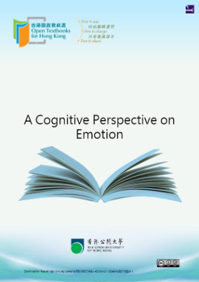 A Cognitive Perspective on Emotion