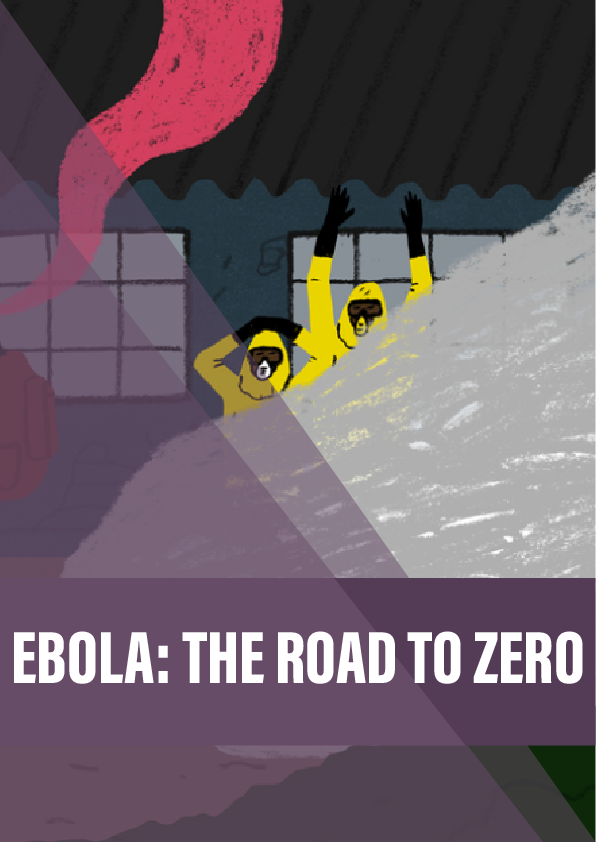 Ebola: The road to zero