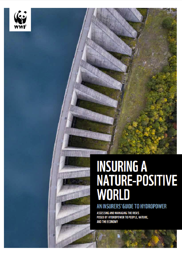 Insuring a Nature Positive World: An insurers’ guide to hydropower