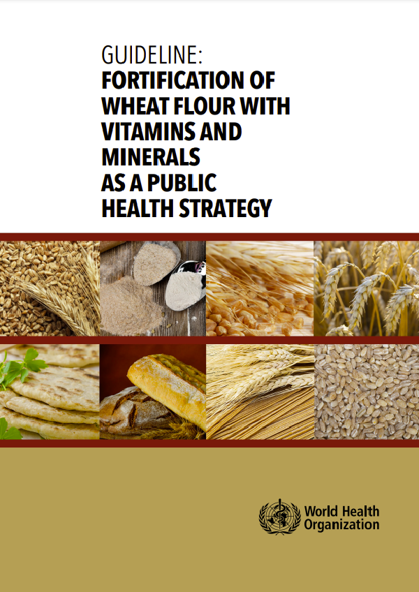 Guideline: fortification of wheat flour with vitamins and minerals as a public health strategy