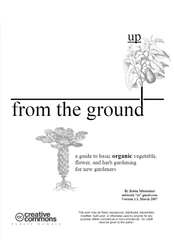 From The Ground Up - Robin Eric Mittenthal