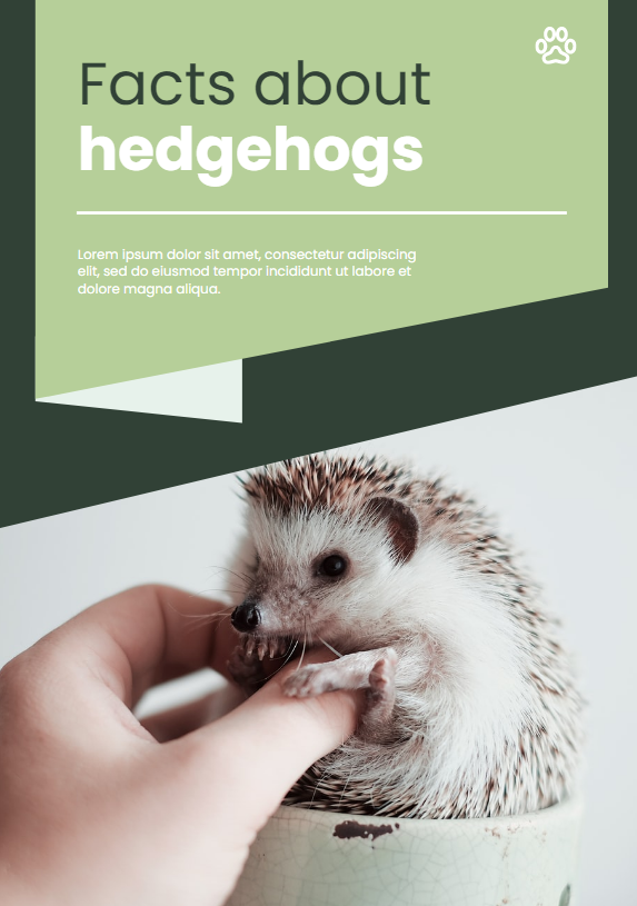 Facts about Hedgehogs