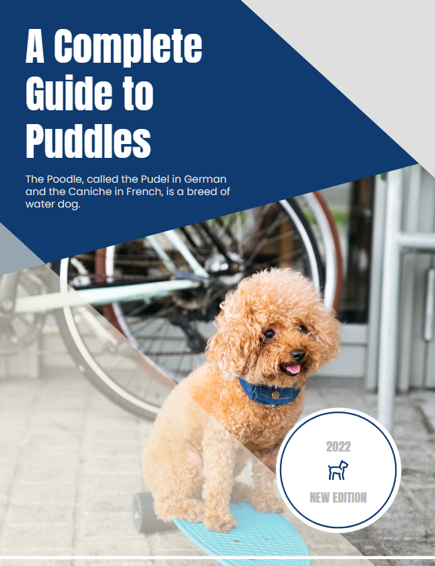 A Complete Guide to Puddles