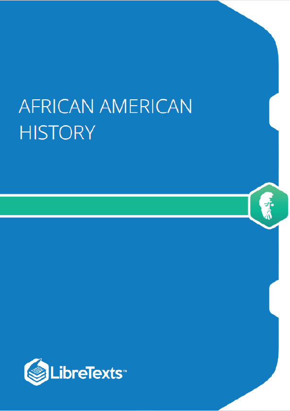 African American History (Lumen)