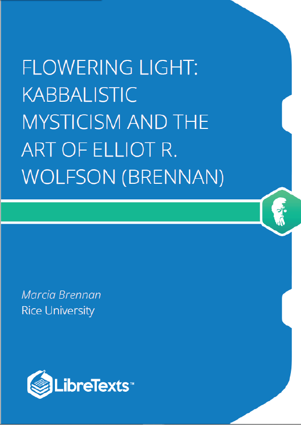 Flowering Light Kabbalistic Mysticism and the Art of Elliot R. Wolfson (Brennan)
