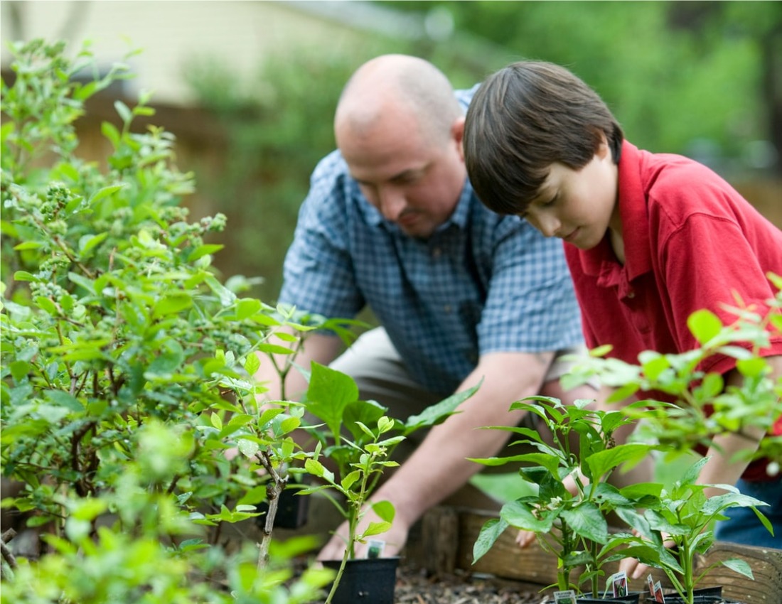 How To Start Your Home Gardening?