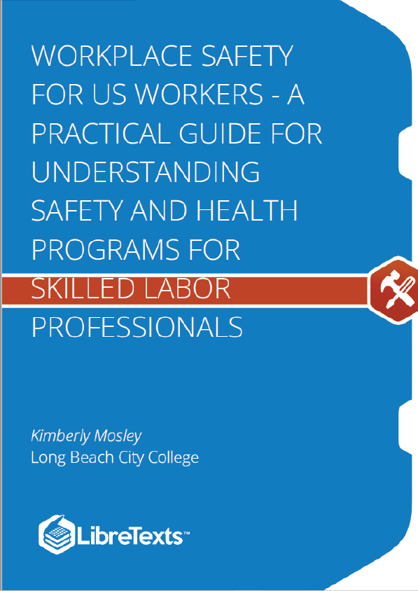 Workplace Safety for US Workers - A Practical Guide for Understanding Safety and Health Programs for Skilled Labor Professionals